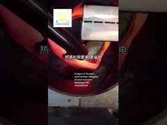 고온 압축 오일 프레스 기계용 퀸징 씨 로스터