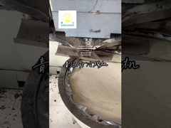 반향성 씨앗 기름 압축기