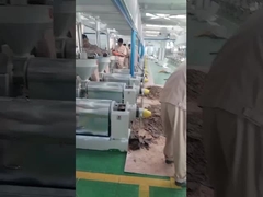 칠리 오일 프레스 기계