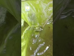 태양광 씨앗 기름 압축 기계