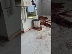 프레스 콜드 오일 기계