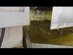 콜드 프레스 땅콩 오일 밀 코코넛 오일 프레스 기계